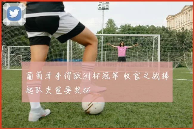 葡萄牙夺得欧洲杯冠军 收官之战捧起队史重要奖杯