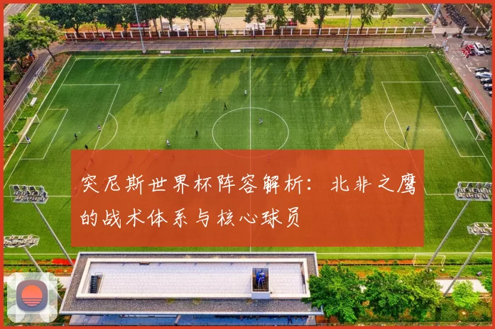 突尼斯世界杯阵容解析：北非之鹰的战术体系与核心球员