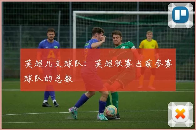 英超几支球队：英超联赛当前参赛球队的总数