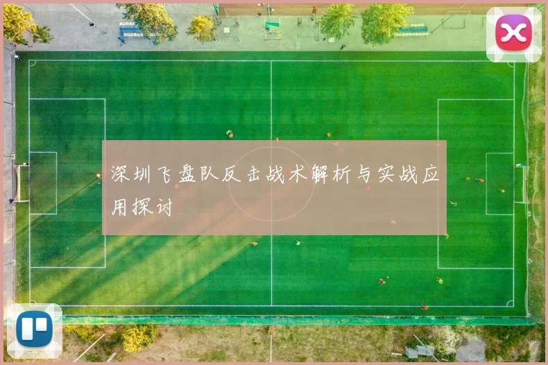 深圳飞盘队反击战术解析与实战应用探讨