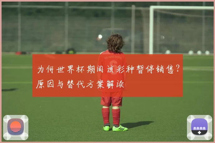 为何世界杯期间该彩种暂停销售?原因与替代方案解读