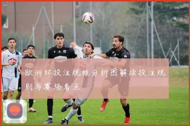 欧洲杯投注规矩分析图解读投注规则与赛场看点
