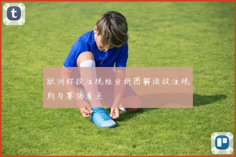 欧洲杯投注规矩分析图解读投注规则与赛场看点