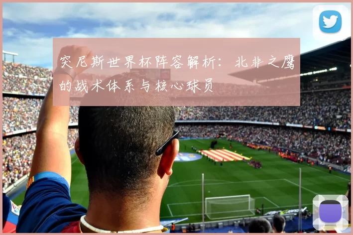 突尼斯世界杯阵容解析：北非之鹰的战术体系与核心球员