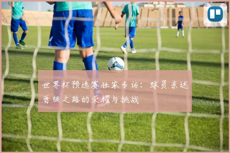 世界杯预选赛独家专访：球员亲述晋级之路的荣耀与挑战