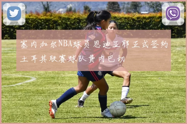 塞内加尔NBA球员恩迪亚耶正式签约土耳其联赛球队费内巴切